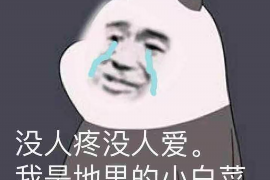 柘城专业讨债公司有哪些核心服务？